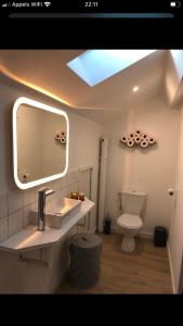 a bathroom with a sink and a mirror and a toilet at Gîte de la moinette in Azé