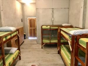 Voodi või voodid majutusasutuse Sharky Hostel Oslob toas