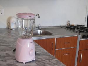 a pink blender sitting on a counter next to a sink at Amplio departamento para grupos o familias in Mexico City