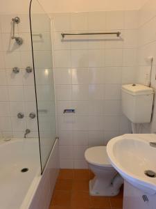 een badkamer met een toilet, een douche en een wastafel bij Sponars Chalet in Perisher Valley