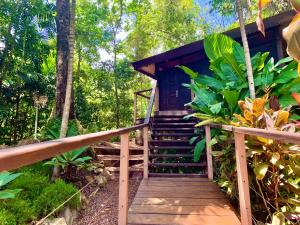 Cairns Rainforest Retreat في كيرنز: درج خشبي يؤدي إلى كابينة في الغابة