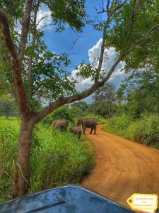 Galería fotográfica de Dambulla Shan Inn en Dambulla