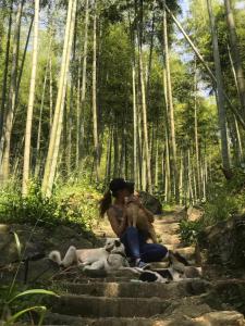 入住莫干山唯乐山居精品酒店的客人
