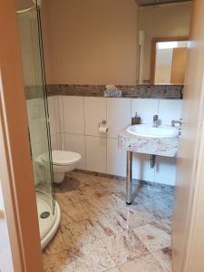 Fotografie z fotogalerie ubytování Weingut und Gästehaus Henrici v destinaci Friesenheim