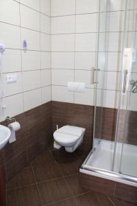 a bathroom with a toilet and a shower and a sink at Penzion Kotvas in Milovice