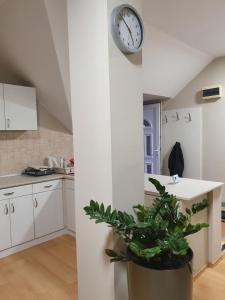 A kitchen or kitchenette at Bella Apartman