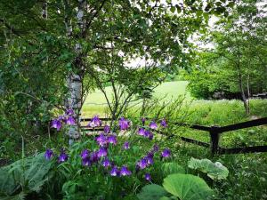 a garden with purple flowers and a wooden fence at Pension Raclette in Nakafurano
