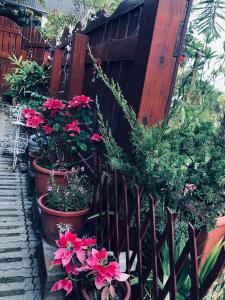 a fence with pots of flowers and plants at Yiyue Guanhe Homestay 倚月觀荷民宿 in Danei
