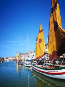 a group of boats docked in a marina at Il Battello in Cesenatico