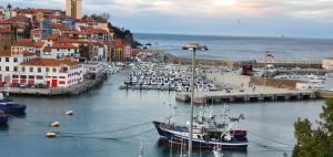 Príroda v okolí apartmánu + 17 fotografií