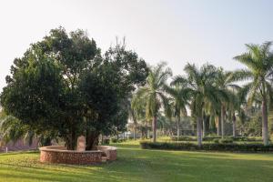 Zahrada ubytování Jinja Nile Resort