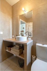 リル・シュル・ラ・ソルギュにあるSuite Sur La Sorgueのバスルーム(洗面台、トイレ、鏡付)