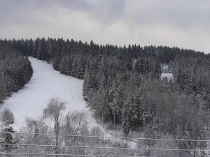 a snow covered hill with a ski slope in a forest at FeWo Ines in Lauscha
