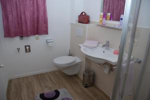 a bathroom with a toilet and a sink at Appartment Gsolerhof in Castelrotto