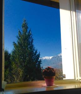 a window with a view of a snow covered mountain at B&B Casa d'Arte in Levico Terme