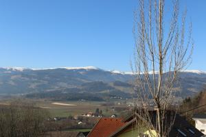 widok na dolinę pokrytą śniegiem góry w obiekcie Villa Schloss w mieście Wolfsberg