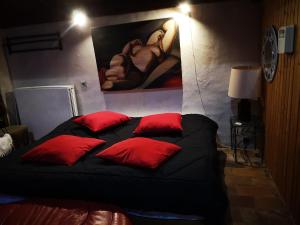 拉戈爾斯的住宿－Pontet-Fronzèle agrotourisme ecologique, maison d'hôtes & Spa，一张带红色枕头的床,在画室里
