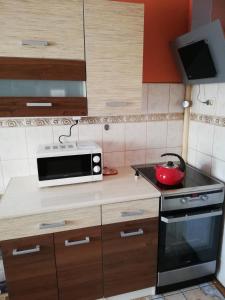 A kitchen or kitchenette at Cisowa Ostoja