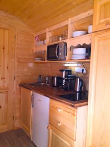 a kitchen with a stove and a microwave in a cabin at Gîte Chais Catherine in Amboise