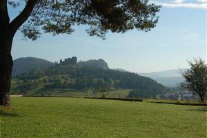 a tree in a field with a hill in the background at Vulkaneifel Type L-A4 in Gerolstein