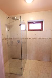 baño con ducha y puerta de cristal en Velence Lake Apartman, en Gárdony