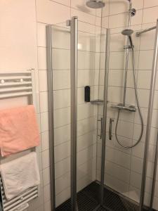 een douche met een glazen deur in een badkamer bij Hotel Kögel in Erbach