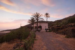 uma casa com duas palmeiras numa estrada de terra em RADYSHAMS DAMMUSI LE PALME & BAIT em Pantelleria