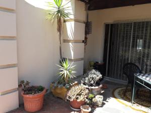 a patio with potted plants on the side of a house at At The View B&B in Roodepoort