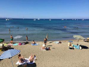 Táj Show holiday homes közelében