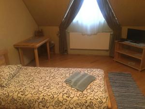 TV a/nebo společenská místnost v ubytování Hotel Svitlytsia