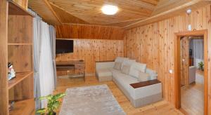 a living room with a couch and a tv at Woodland House in Yaremche