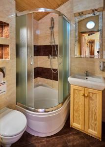 a bathroom with a shower and a toilet and a sink at Lawendowy Zakątek in Sianozety
