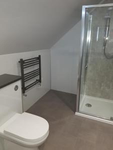 a bathroom with a toilet and a shower stall at Lindisfarne Bed & Breakfast in Stromness