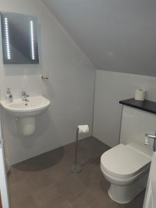 a bathroom with a toilet, sink, and mirror at Lindisfarne Bed & Breakfast in Stromness
