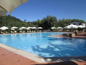 a large swimming pool with chairs and umbrellas at Fattoria La Steccaia in Riparbella