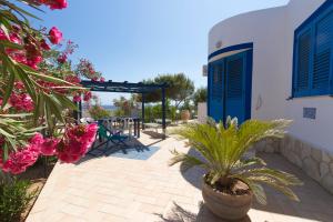 une terrasse avec une porte bleue et une plante en pot dans l'établissement Villa Saba, à Lampedusa