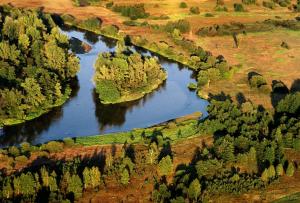 an aerial view of a river in a field with trees at Nowy Dom Polska in Magnuszew