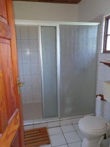 ein Bad mit einer Dusche und einem WC in der Unterkunft Carsdale country lodge in Empangeni