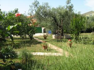 Zahrada ubytování Apartmani Mirjana Umag