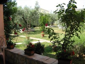 Zahrada ubytování Apartmani Mirjana Umag