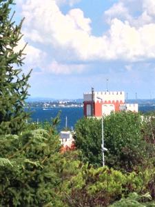 czerwono-biały budynek na szczycie drzew w obiekcie Un nido sul Lago di Garda w mieście Padenghe sul Garda