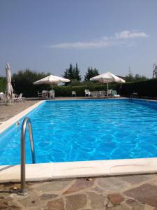 Basen w obiekcie Un nido sul Lago di Garda lub w pobliżu