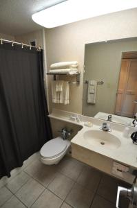 a bathroom with a toilet and a sink and a mirror at Hillside Inn in Madison