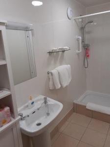 A bathroom at Athlumney Manor Guest Accommodation