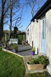 a garden with potted plants next to a house at Tuck Mill Cottage in Castlewellan