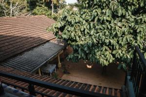 Ảnh trong thư viện ảnh của Ancient Tree ở Mirissa