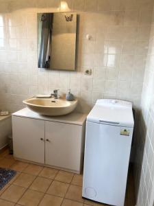 baño con lavabo, espejo y nevera en La Maison Trèfle en Vieux-Rouen-sur-Bresle