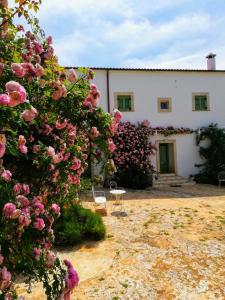 Vonkajšia záhrada v ubytovaní B&B Giovannarolla Green House