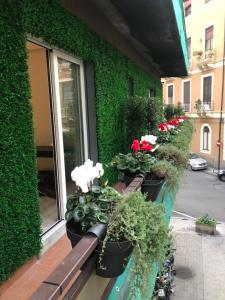 a row of potted plants on the side of a building at Sicily 4 Suite in Catania