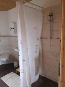 a bathroom with a shower and a toilet in it at 1Austragshaus Andermichlhof in Geltendorf